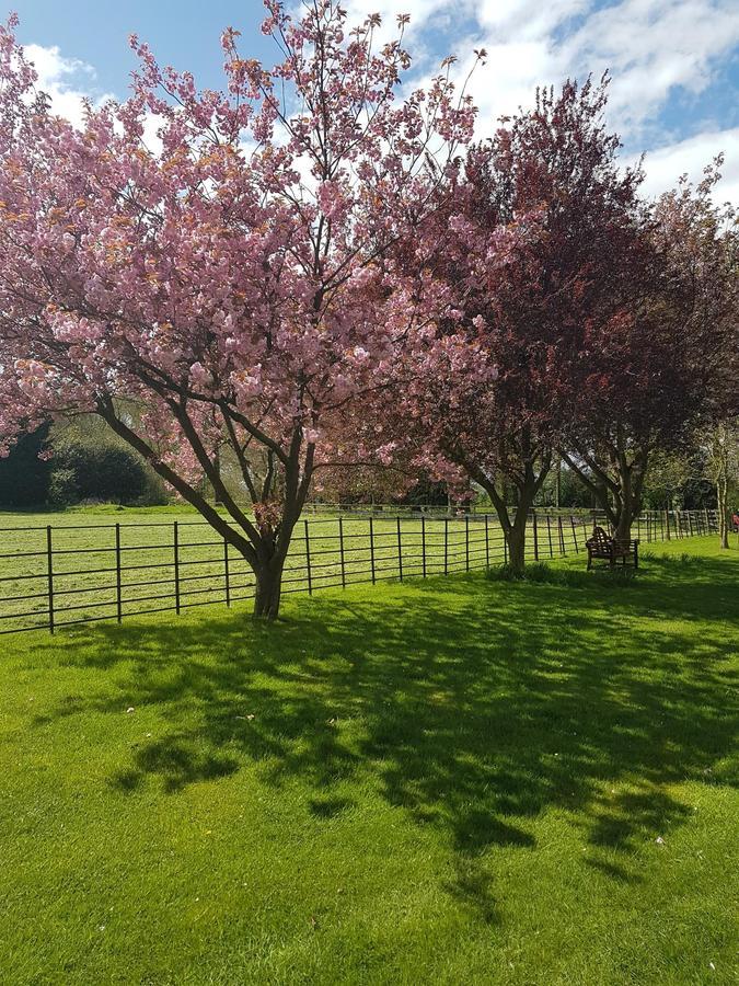 Newark upon Trent Kelham House Country Manor Hotel מראה חיצוני תמונה